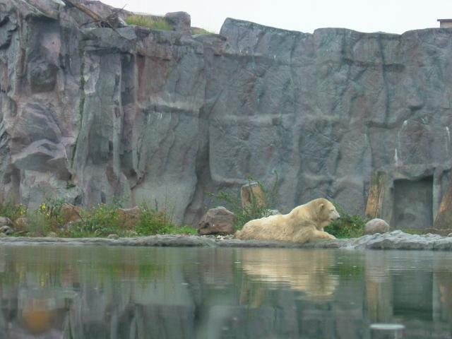 DSCF1558