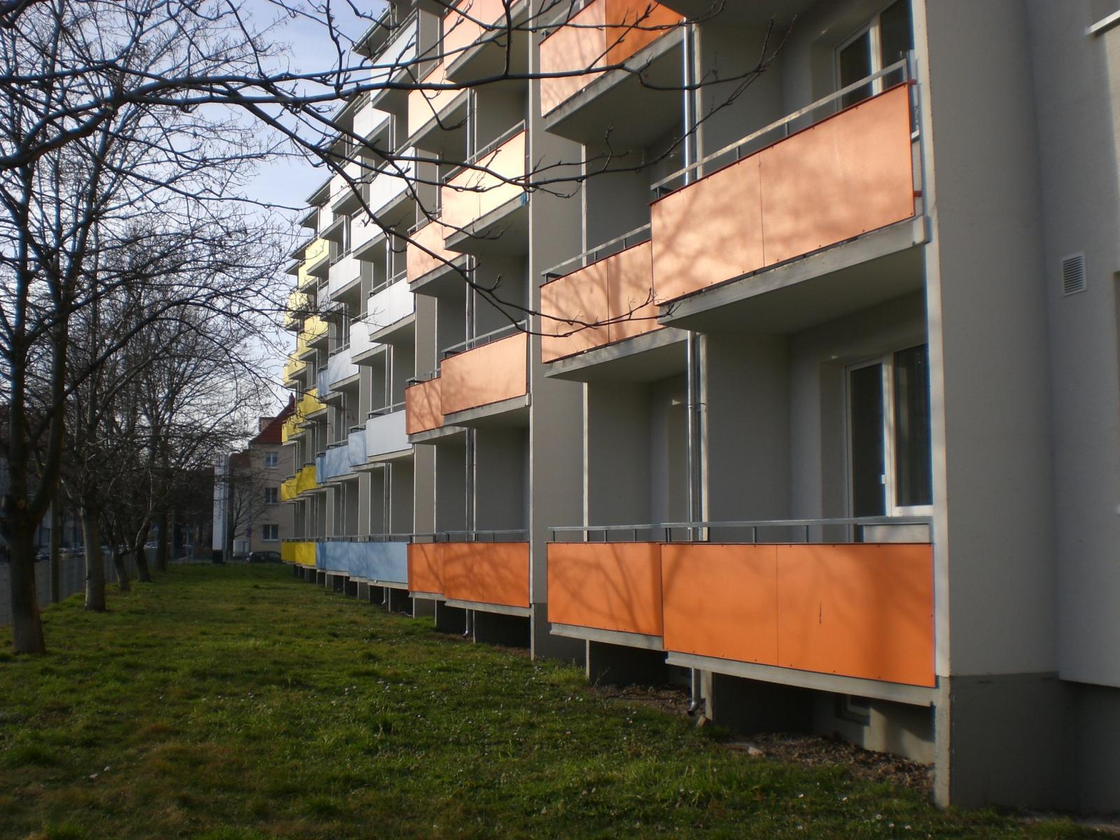 CIMG0001.JPG