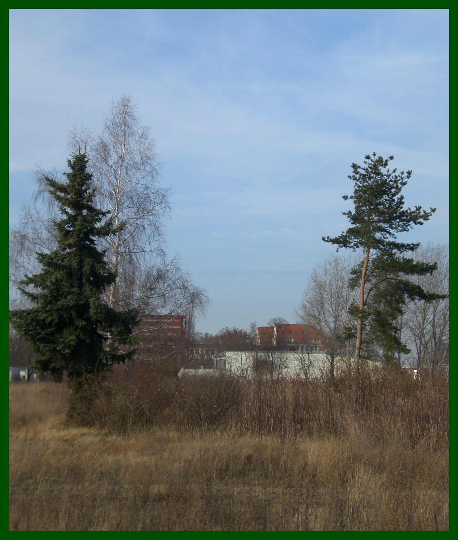 CIMG0003.JPG